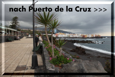 Puerto Cruz Link2